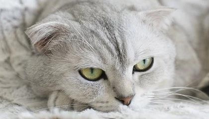 2025“玫瑰绽放”训练营U12年龄组(第一阶段武汉站)圆满收官