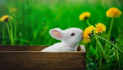 胡金秋：多年付出终有回报 希望多打10年&和队友继续创造更多荣誉